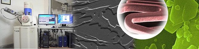Scanning Electron Microscope